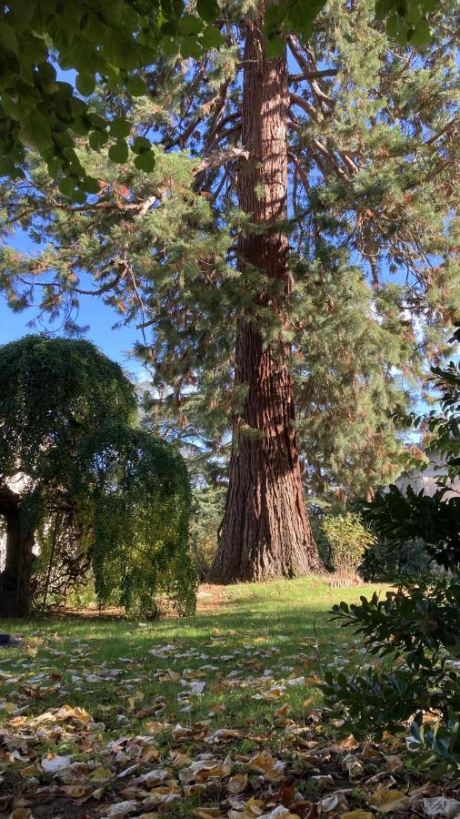 モンルイ・シュル・ロワール Le Clos Du Roc Bed & Breakfast エクステリア 写真